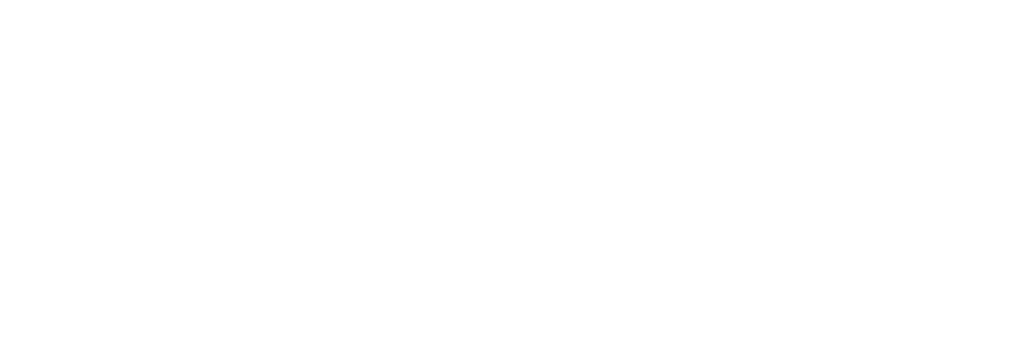 LCS IT Services Logo White