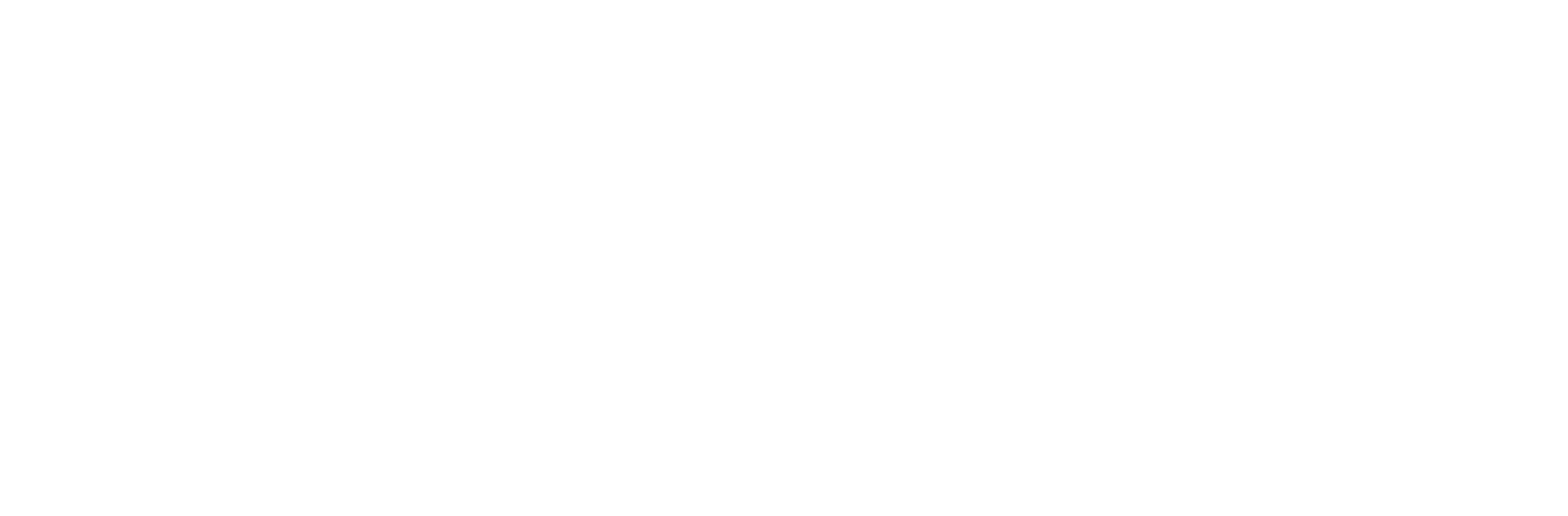 LCS IT Services Logo White